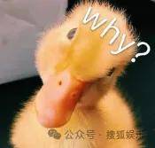 怎么开皇冠信用平台_从爆红到突然消失好几年怎么开皇冠信用平台，再出现已经胖到大家不敢认了？