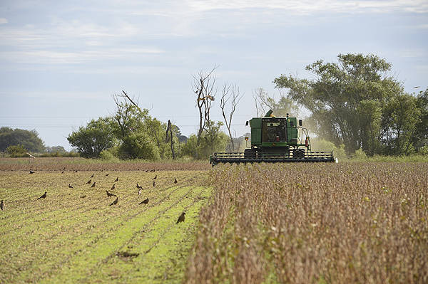 皇冠登3代理申请_英媒：中国又从阿根廷买了至少10船大豆皇冠登3代理申请，美国农民再遭重创