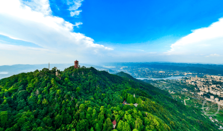 皇冠信用網会员开户_重庆部分行政区划调整落地一周皇冠信用網会员开户，市民办事更便捷