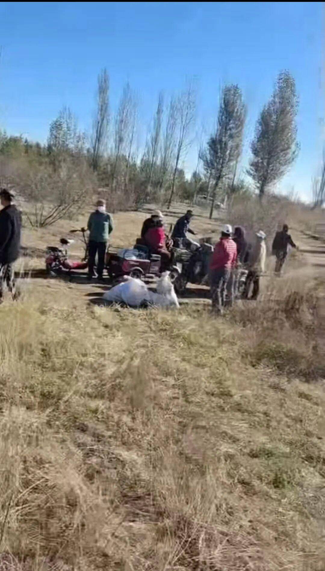 皇冠信用网_百亩向日葵遭村民哄抢皇冠信用网，损失50万元！警方已行拘4人