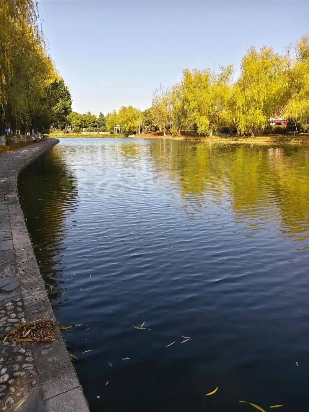 皇冠信用網在哪里开通_安徽一大学生在校园内溺水身亡皇冠信用網在哪里开通，疑参加游戏时不慎坠湖，学校回应