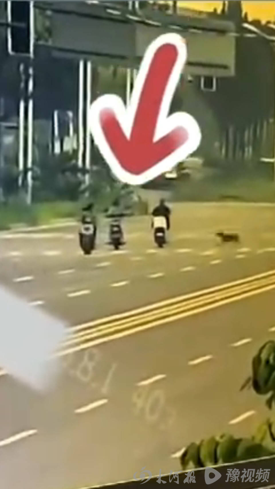 皇冠信用盘代理登3
_河北女子骑行被未拴绳大狗撞倒身亡皇冠信用盘代理登3
,其丈夫又突发脑溢血昏迷,留下3个孩子与两名老人