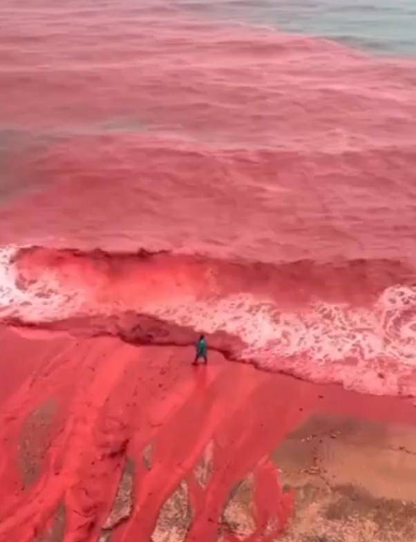 皇冠信用网会员账号
_罕见!伊朗霍尔木兹岛遭遇强降雨皇冠信用网会员账号
,部分海域变成“血色海洋”