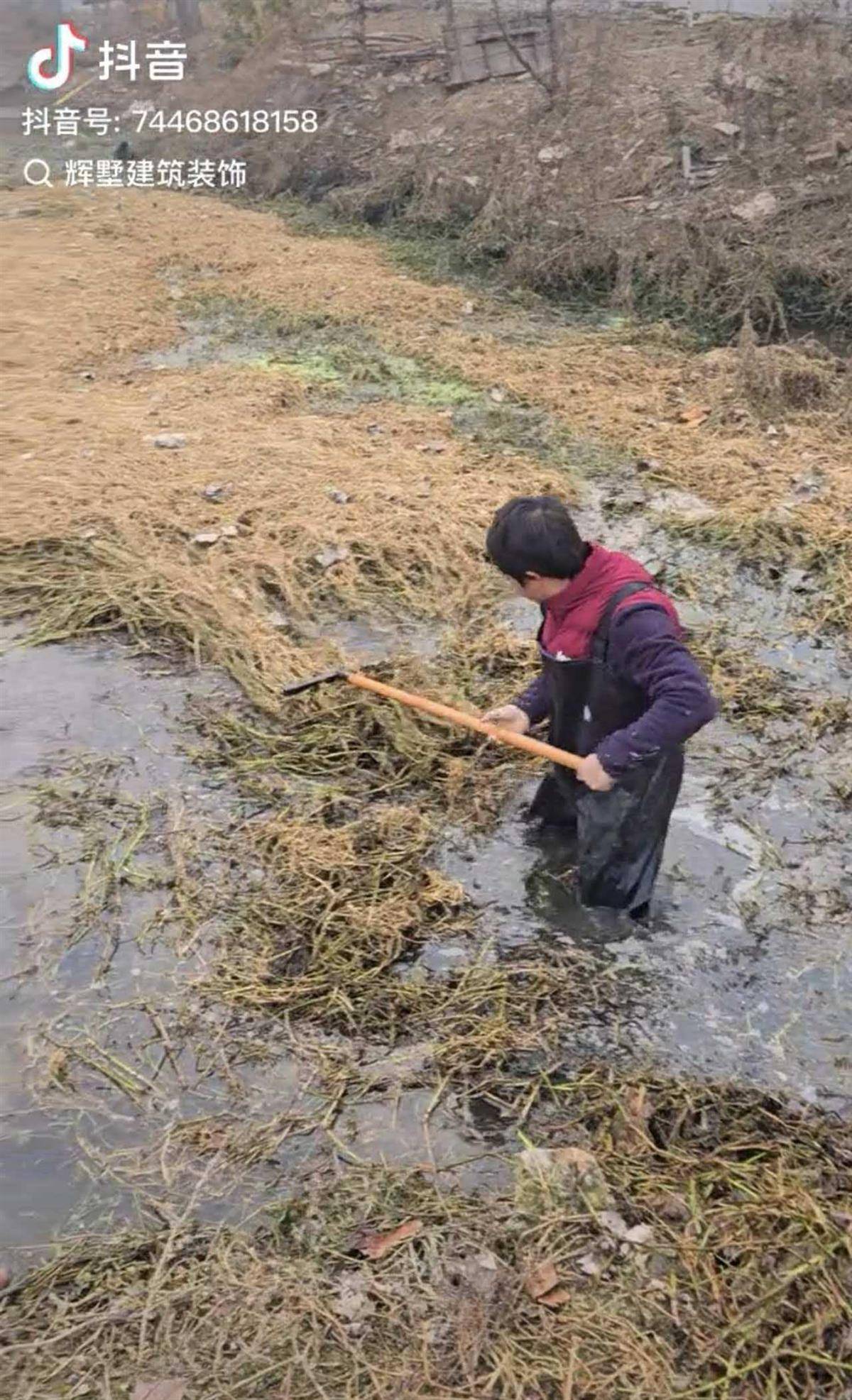 正版皇冠信用开户申请_大鹅主人抽水追凶最新进展来了：深刨半米淤泥啥也不见正版皇冠信用开户申请，或因厚草盖顶溺亡