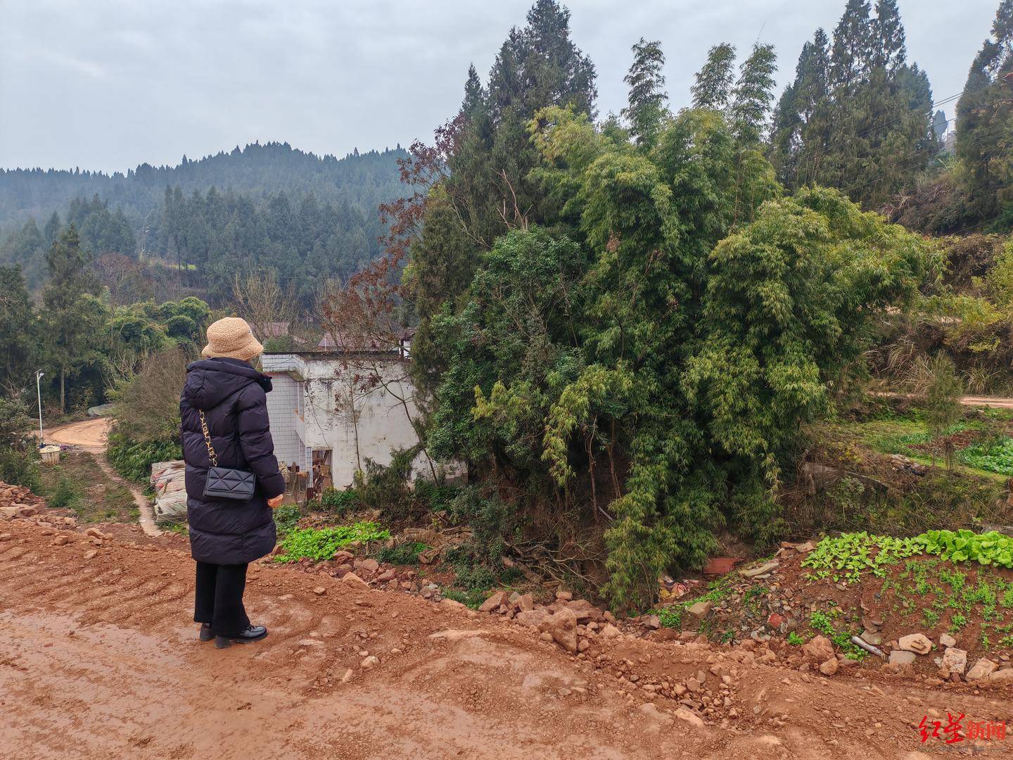 皇冠代理返水_南充一村庄村民房屋因建高速路拆迁皇冠代理返水，至今未找到新宅基地建房 官方回应